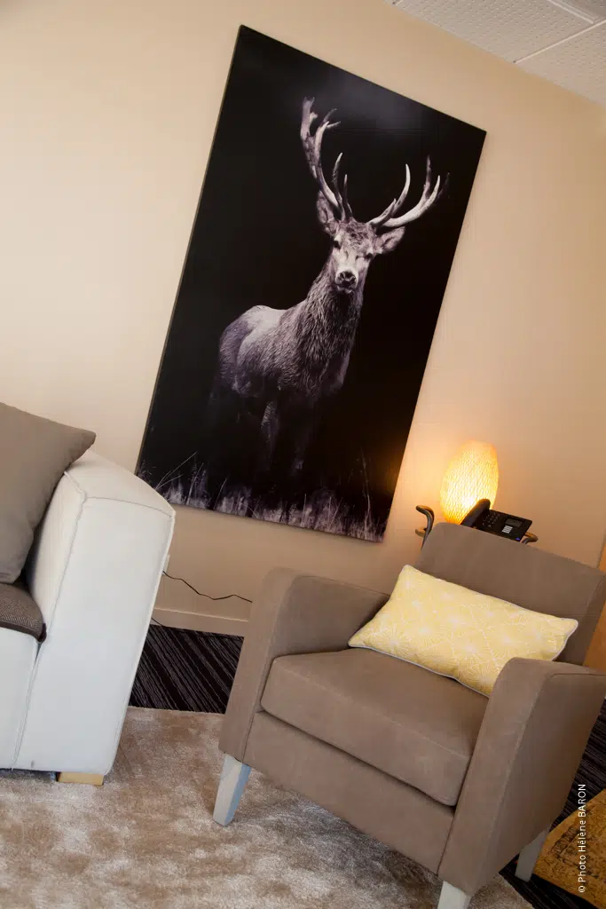 liger-locmine-detail-tableau-cerf