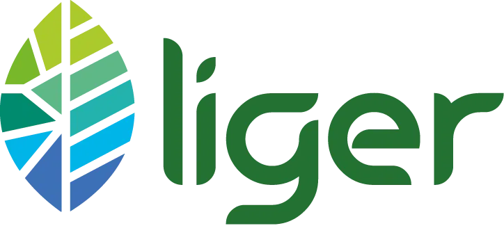 liger-locminé-logo